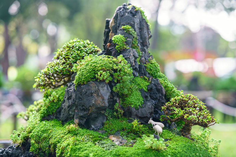 Hòn Non Bộ Thế Độc Phong